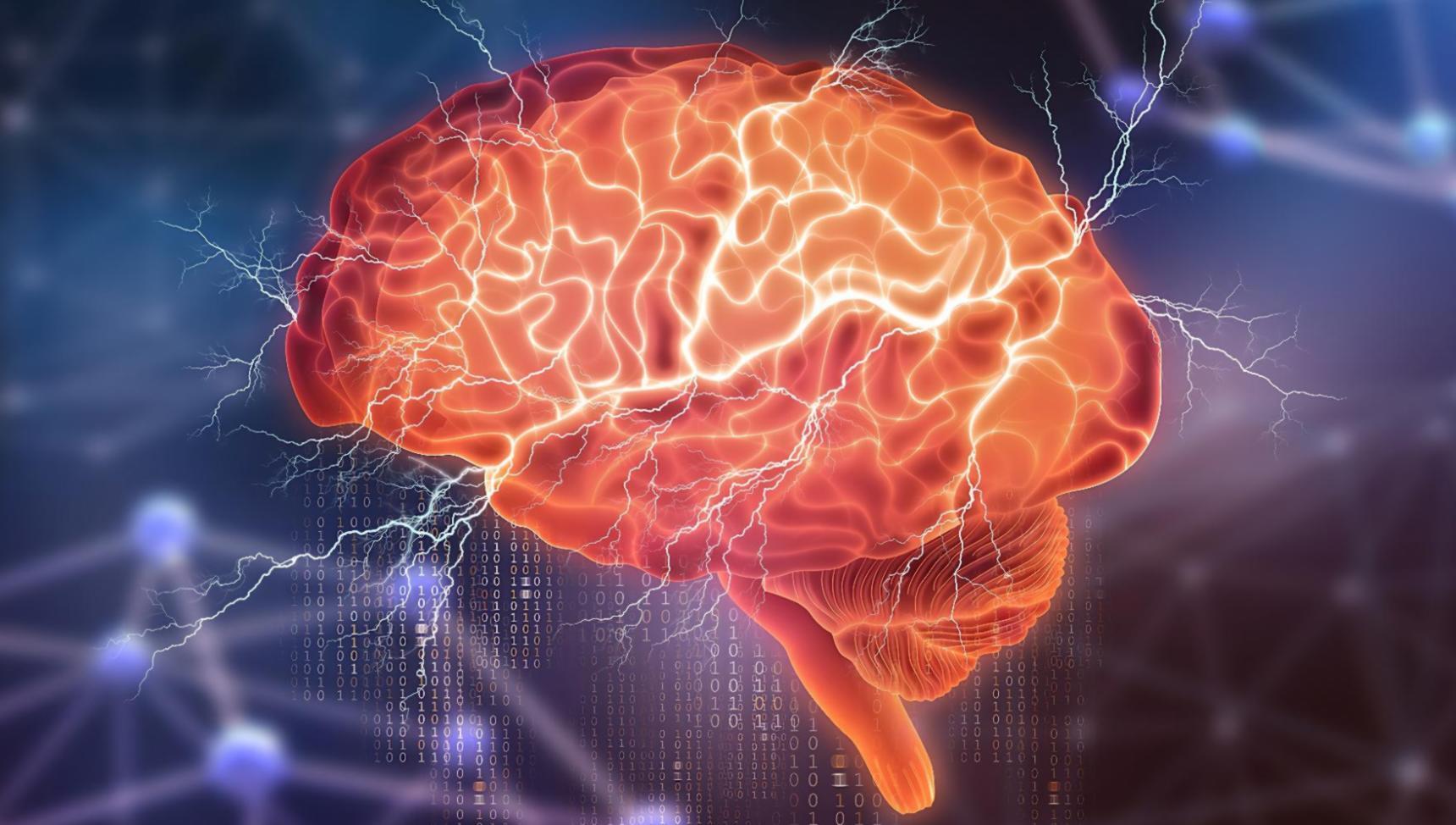 Community und Austausch in der Webentwicklung